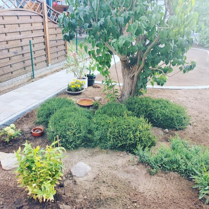 Gartenbau_Peine_5